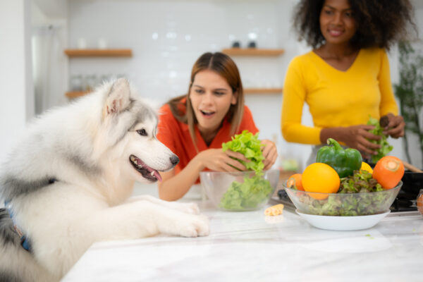 Young woman and her dog joyfully cooking in a bright, modern kitchen.