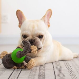 Playful French Bulldog with plush toy, radiating joy on a cozy light rug.