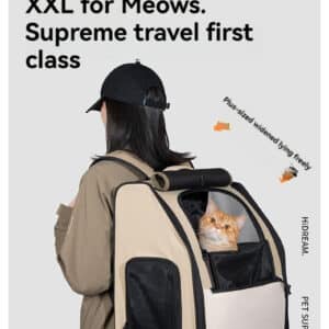 Spacious XXL cat backpack for stylish, comfortable travel with your feline companion.