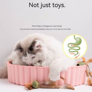 Fluffy cat relaxes in pink bowl, surrounded by toys promoting digestive health and playtime fun.