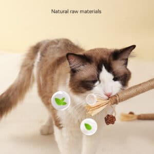 Playful cat with chew toy promotes dental health in a cozy indoor setting.