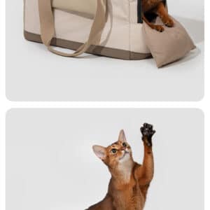 Curious reddish-brown cat interacts with a stylish modern pet carrier in playful poses.