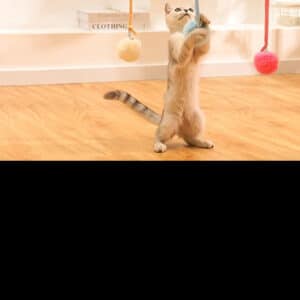 Playful light beige cat reaching for colorful hanging toy in a bright, cozy room.