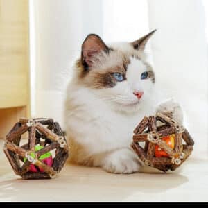 Fluffy cat enjoys playtime with natural wooden toys in a serene indoor setting.