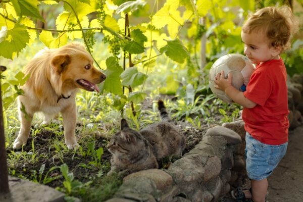 A child and a dog play joyfully in a vibrant garden filled with greenery.