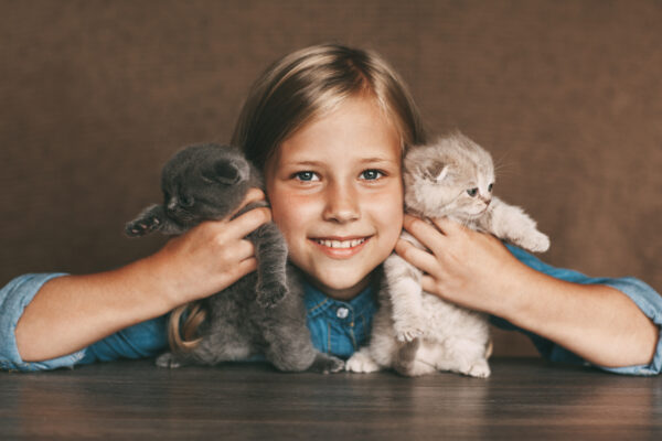 A joyful girl cuddles adorable British kittens, showcasing their playful bond and colorful fur.