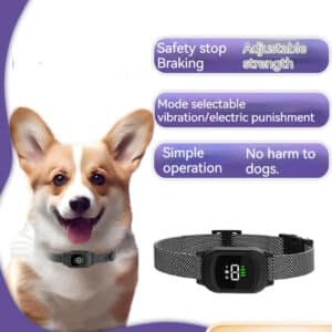 Cheerful corgi with modern training collar featuring adjustable settings for safe behavior correction.