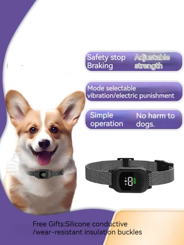 Cheerful corgi with modern training collar featuring adjustable settings for safe behavior correction.