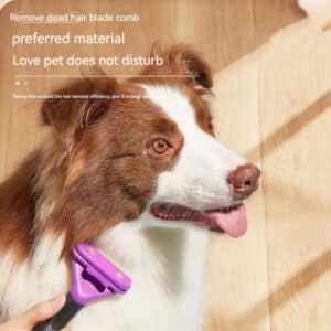 Happy dog being groomed with a gentle, effective purple comb for a comfortable experience.