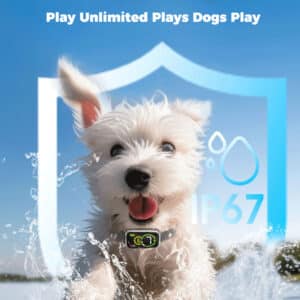 Playful white dog splashing in water, showcasing waterproof fun for outdoor adventures.