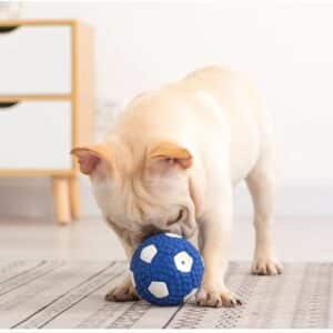 Playful French Bulldog joyfully interacts with a bright blue soccer ball in a modern home.