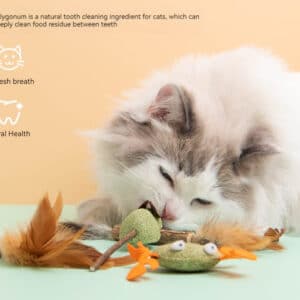 Fluffy cat joyfully plays with colorful toys, promoting fun and dental health with Polygonum.