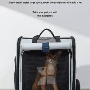 Stylish cat backpack with breathable mesh and spacious design for comfortable pet outings.