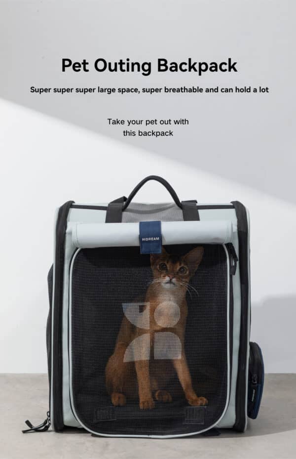 Stylish cat backpack with breathable mesh and spacious design for comfortable pet outings.