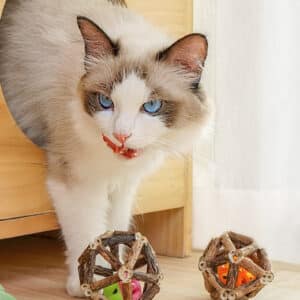 Playful Ragdoll cat with blue eyes enjoys colorful wooden toys from a cozy cat house.