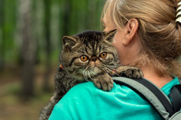 Woman with cat on shoulder in a serene forest setting, showcasing their strong bond.